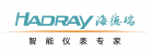 山东海德瑞仪表股份有限公司